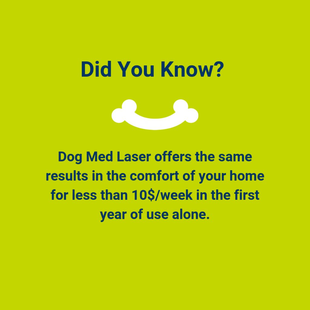 DogMedLaser's tweet photo. #DogMedLaser is AFFORDABLE!  Laser treatments in #veterinary clinics can cost up to 100$/week. Plus, many dogs get anxious visiting the vet office. Save money and stay right in the comfort of your home, stress-free! What’s better than that?... https://t.co/5T99uzCR5R https://t.co/PzwI2GK1HJ