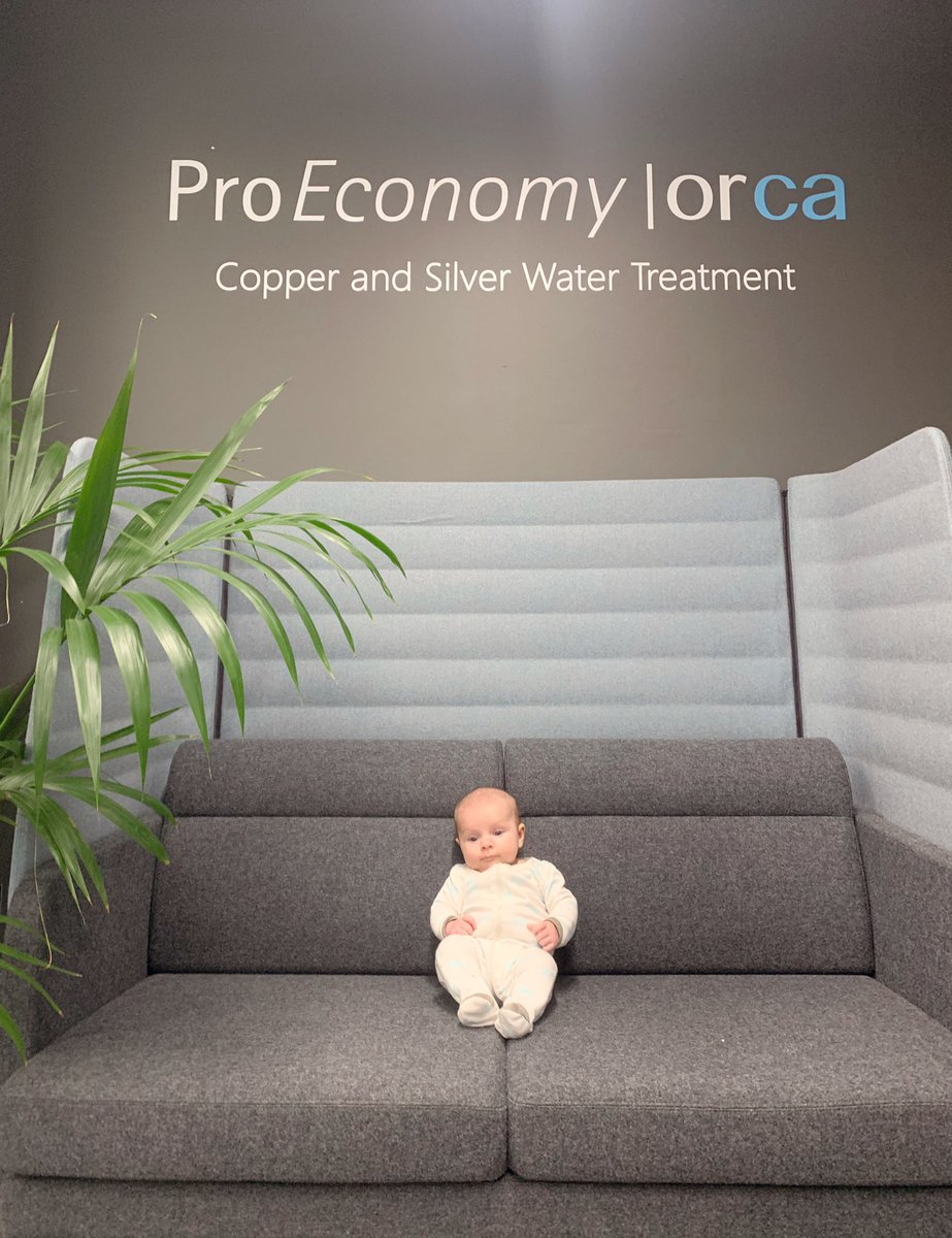 The newest <a href="/ProEconomyLtd/">ProEconomy</a> recruit is taking her role *very* seriously instagram.com/p/B34_uiOAk9m/…