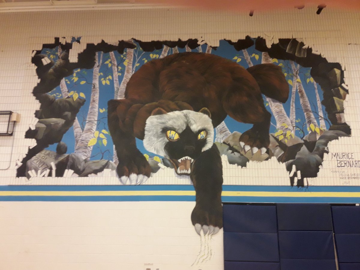 EastlinkMattB's tweet photo. Tonight on @Eastlink Community TV PEI, we're at Westisle Composite High School for a @peisaa Boy's AAA Volleyball match between @TOSHathletics and @Wolverines_West. Game will air at 7 PM and be replayed at 8:30 PM as well.  Hope you can join us! #EastlinkCommunityTV #peisaa https://t.co/kuPAymxRRE