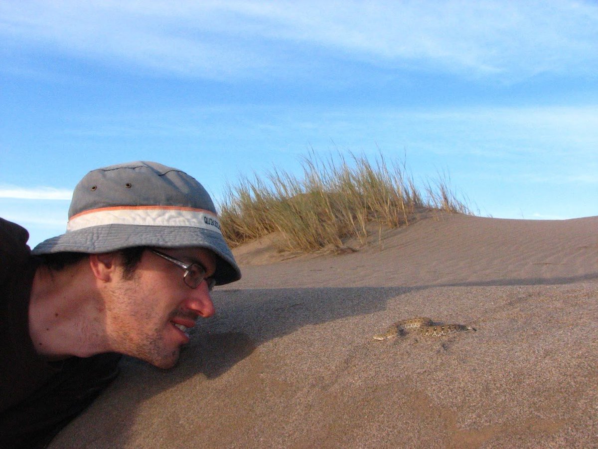 Eyeball to eyeball - myself and an adult Namaqua Dwarf Adder. 