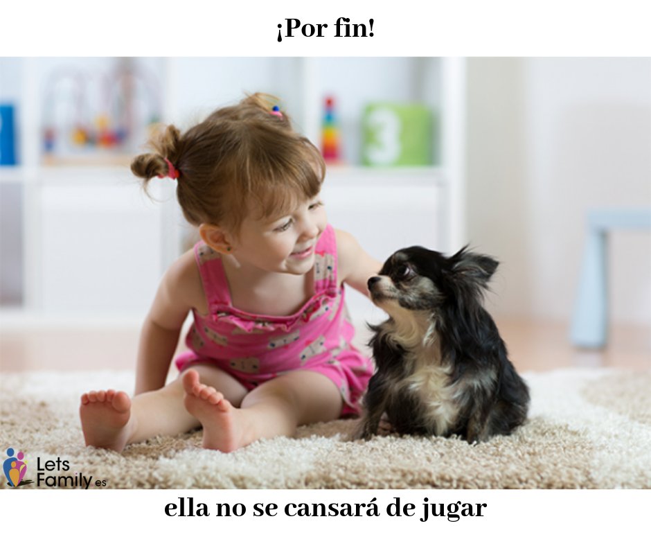 Niñ<a href="/s/">『S』</a> y mascotas , mascotas y niñ<a href="/s/">『S』</a>... #niños #bebes #mamas #embarazo #embarazadas