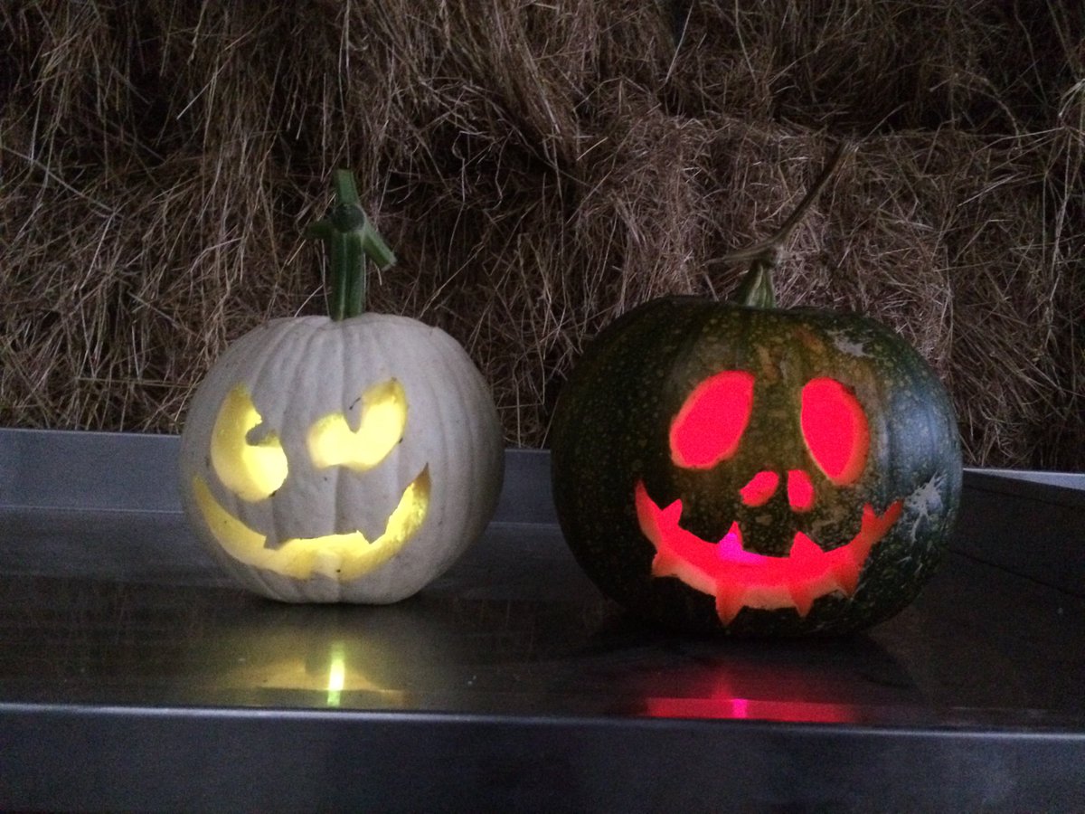 Nearly ready for Pumpkin Days 😁🎃🎃