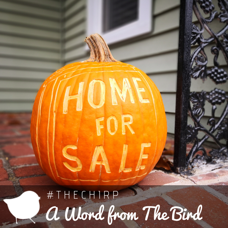 RedBranchRealty's tweet photo. We’re back to busting 🔎 myths! Selling a 🏠 home? Don’t 🚫 believe these myths: https://t.co/RZo65jEE2l
.
.
.
.
.
.
#RedBranchRealty
#TheNest
#TheChirp
#AWordFromTheBird
#BirdsOfAFeather
#MythBusters
#HomeSelling https://t.co/Z0h5fGl1eG