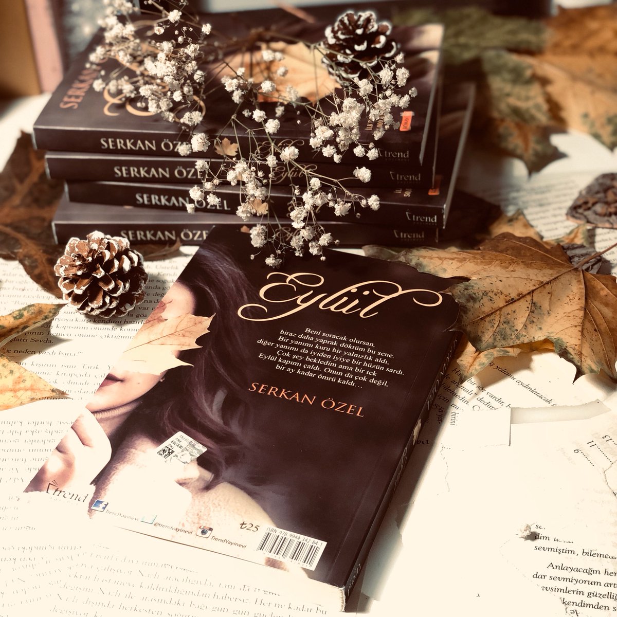 Serkan Özel tweet media