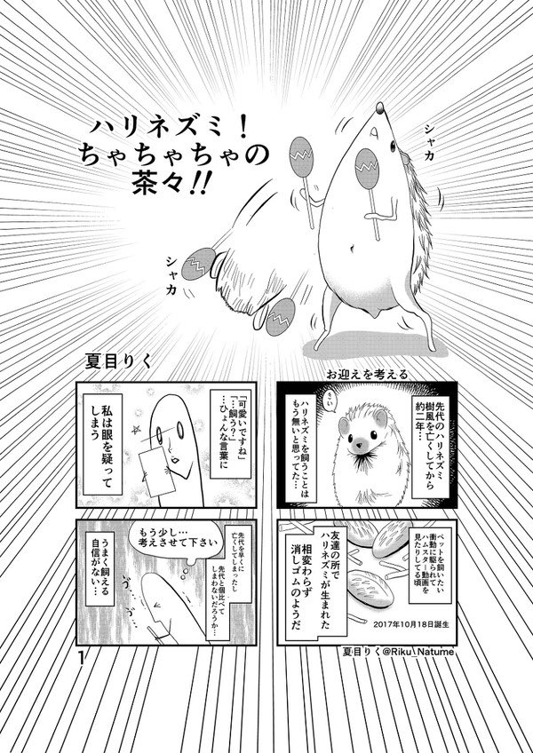 @popemw うむ…!おなか見せても?

??? 