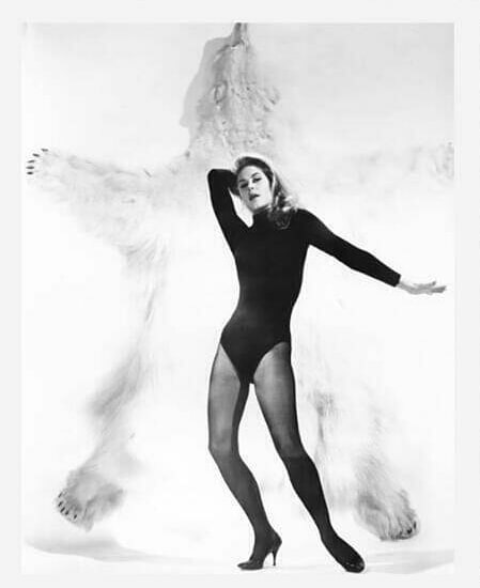 BewitchedSerial's tweet photo. Midnight of 1963, polar bear rug 
(📷: Silver Screen) 
#BewitchedSerial https://t.co/L9gLyTjDPd