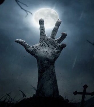 The BIG Sheep tweet media