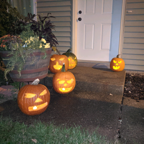 GrowItMobile's tweet photo. 🎃No tricks, just treats! Members are sharing all things #Haunted! Do you have some creepy and spooky looking plants popping up in your area? We want to see! Join the community and learn about our #Haunted giveaway! # JackOLantern #PumpkinPatch #Plantcommunity https://t.co/dTA57pY43b