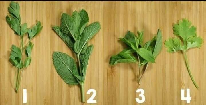 لو عرفت تفرق ما بينهم أتجوزها