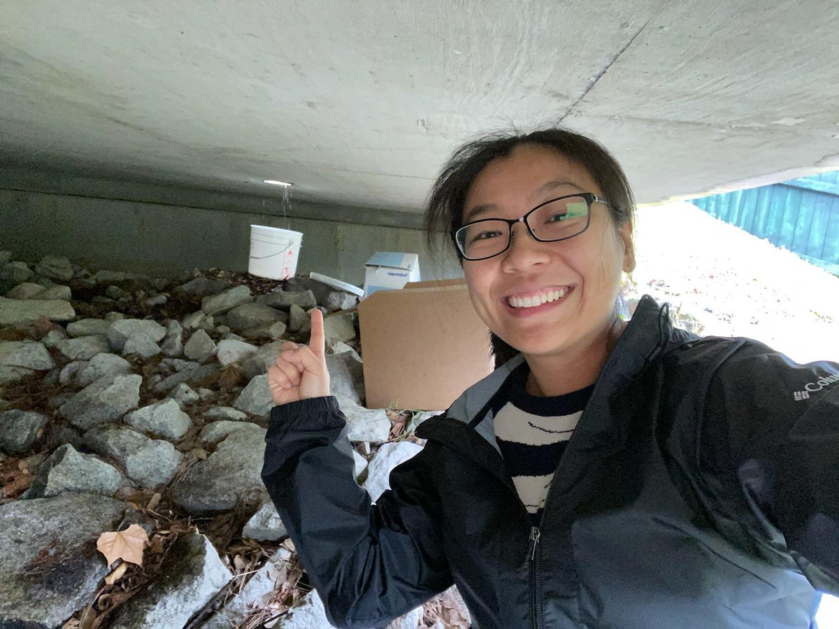 UofSC ENA Lab (@enalaboratory) on Twitter photo Our very own Dr. Wang out in the field this weekend sampling bridge run off on a rainy day! Can't help singing, "Under the bridge downtown..." <a href="/ChiliPeppers/">Red Hot Chili Peppers</a>
#science #rainyday #publichealth #uofsc Our very own Dr. Wang out in the field this weekend sampling bridge run off on a rainy day! Can't help singing, "Under the bridge downtown..." <a href="/ChiliPeppers/">Red Hot Chili Peppers</a>
#science #rainyday #publichealth #uofsc