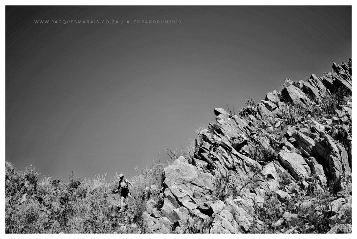 JacqMaraisPhoto's tweet photo. Some #monochrome moments frm @EcoBoundEvents #leopardrun in #baviaanskloof. Utterly breathtaking #nature experience ๐๏ธ๐ // @TRAILza @TribalTourist @Diverge_info @RUN_StoreZA @SPOT_Africa @GarminSA @RunTalkSA @TrailRunMag @DarlingBrew @MooveClaremont @ECParksandRec #trailrun https://t.co/3G9Tt03Iia