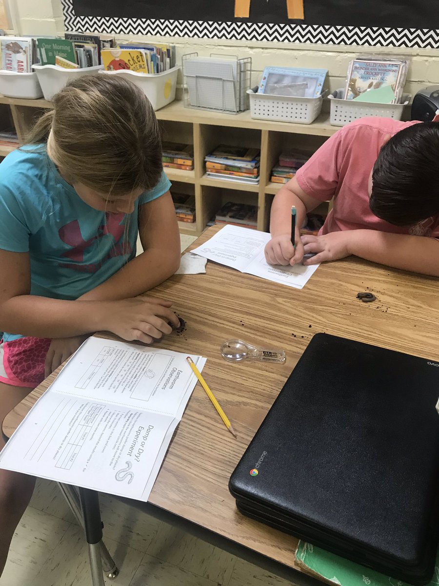 mcelveencs's tweet photo. Everything has a niche! #wigglingworms #ecosystems #WeLeadWGE https://t.co/OtJDj2XqBC