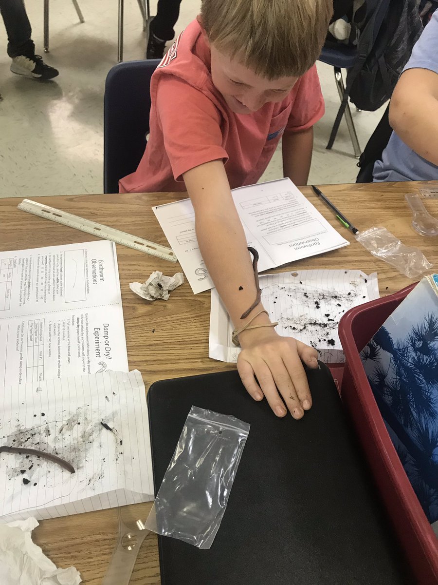 mcelveencs's tweet photo. Everything has a niche! #wigglingworms #ecosystems #WeLeadWGE https://t.co/OtJDj2XqBC