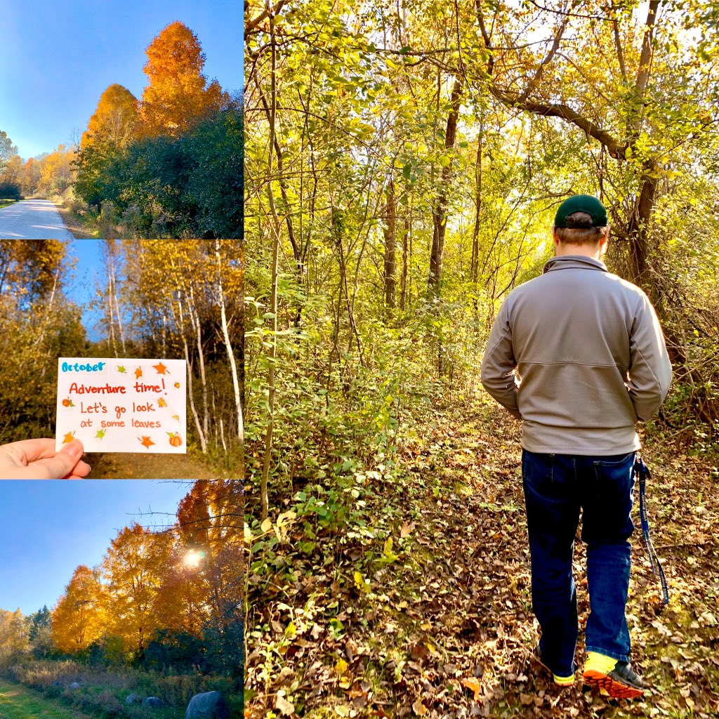 CWoelf's tweet image. Date 1 🍂🍁Leaves are falling, autumn is calling 🍂🍁 October date complete! What an unbeleafable day with @TheLemonaider ❤️ #FallPuns #YearofDates #MarriedLife