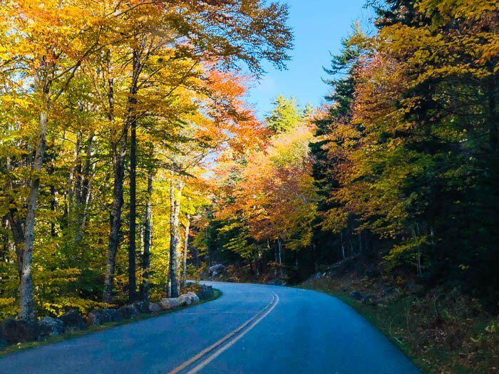 TravelCookTell's tweet image. Visiting Acadia National Park in fall travelcooktell.com/visiting-acadi…