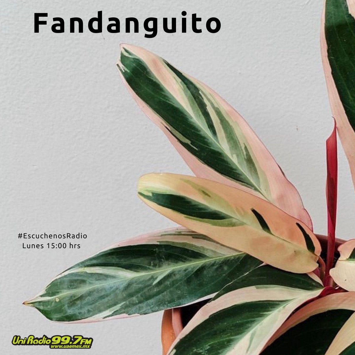 Hoy <a href="/fandanguito997/">fandanguito997fm</a> y <a href="/Vianvallejo/">Ilse 🚀</a>
consiente a tus oídos con una hora llena de música que te hará bailar para sacudirte el cansancio típico de los #Lunes con sonidos de:
<a href="/dromedariosmag/">CANER BOZDOĞAN 🇹🇷</a>
<a href="/sonorabalkanera/">Sonora Balkanera</a>
<a href="/ninovan/">Niño van</a>
<a href="/hidelsol/">los hijos del sol</a> y más 
#SabroSon
#SonParaLlevar