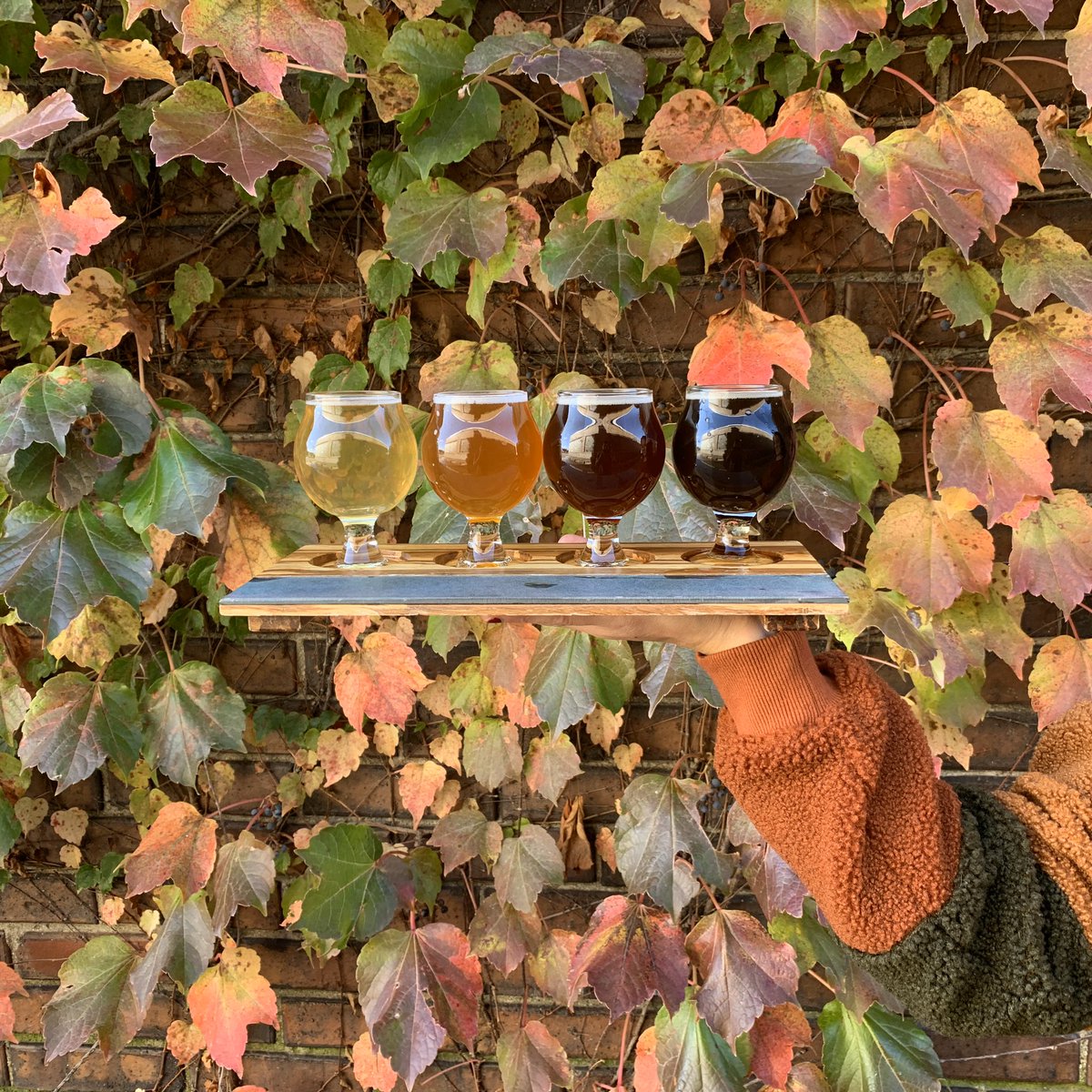 Fall into our Tap Room for flight of delicious beers! 🍁🍂🍻🌅
#EmbraceYourNature 
#craftbeerphoto #beerphotography #fallvibes #seektheseal #independentcraftbeer #craftbeer #enjoyillinois #fallcolors #colorsoffall #nofilter