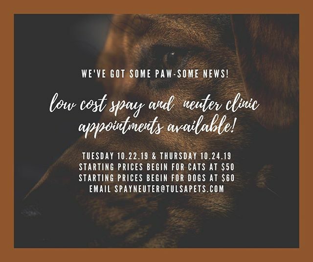 Tulsapets's tweet photo. We’ve got PAW-some news for you! 
We are hosting a low cost spay and neuter clinic this week. 
We have twenty five to thirty appointments available. Beginning tomorrow, Tuesday, October 22nd and again on Thursday, October 24th. Drop off time is 7:30am-8:… https://t.co/ceS3ABAXn1 https://t.co/MQ16XNJ9JX