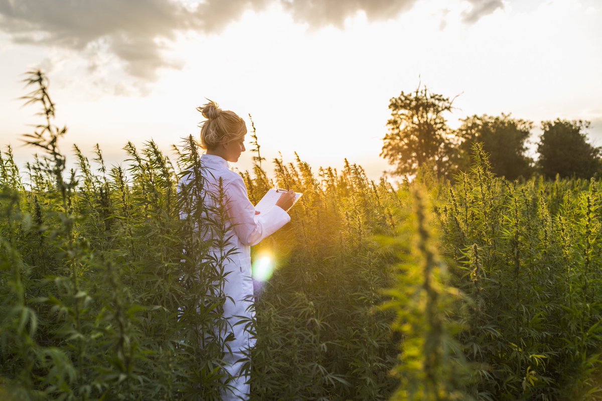 DrRobbFarms's tweet photo. "...the pieces are in place to form a testable hypothesis that states that the use of a compoundโahem, such as CBD, ahemโcould help trigger that happiness pathway for patients who for some reason or another have trouble triggering that pathway." - #DrRobb๐ฟ https://t.co/gmPXq6wRiR