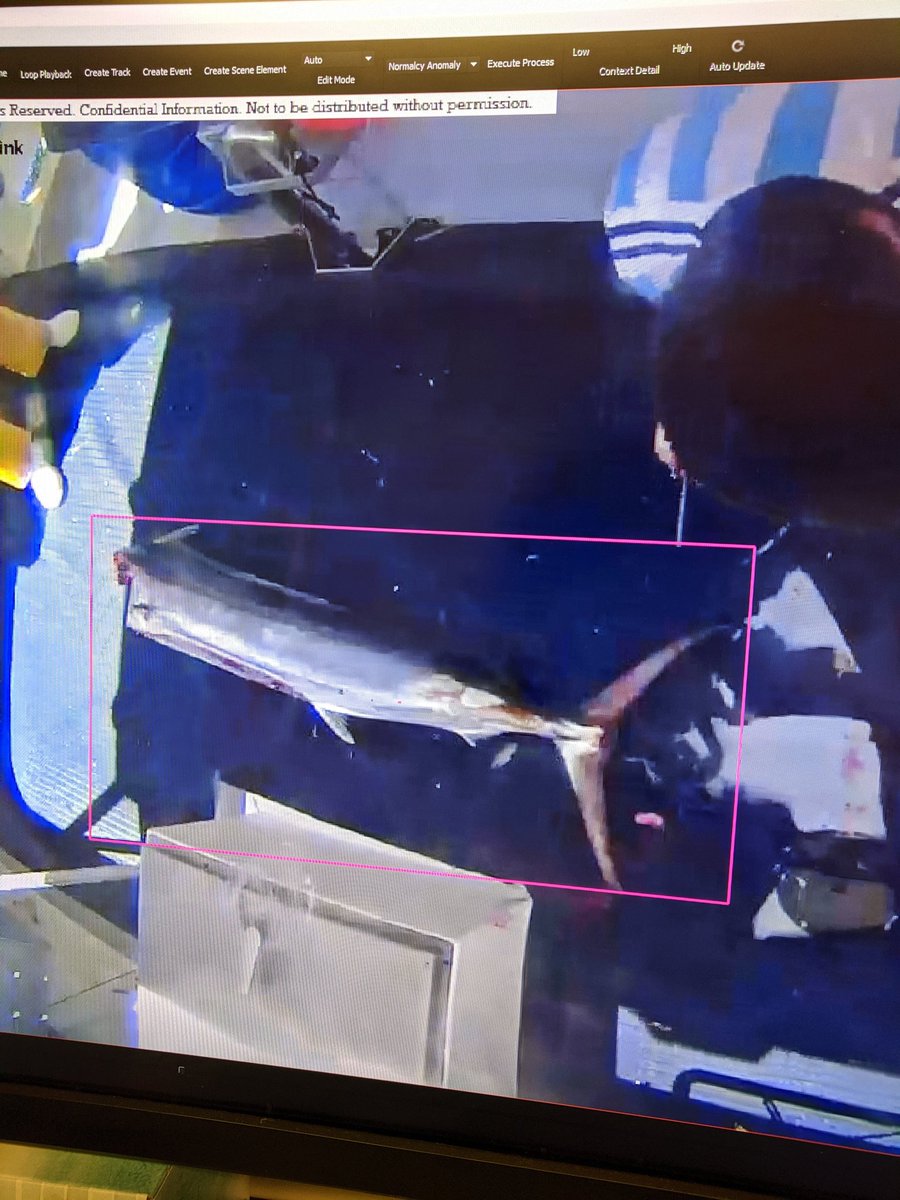 20secs0fcourage's tweet photo. Keeps calling marlin swordfish though. I can fix that. https://t.co/HQDD5AtwGO