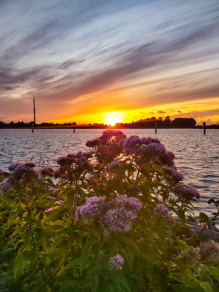 Nightwhisper77's tweet photo. Oktobertage voller Schönheit... 🌅
#Herbst #Oktober #Licht #sanft #Meer #Küste #Träumer #Fotografie #autumn #fall #smoothlight #sea #photography #sailorslife https://t.co/ZLeUHAzLrY
