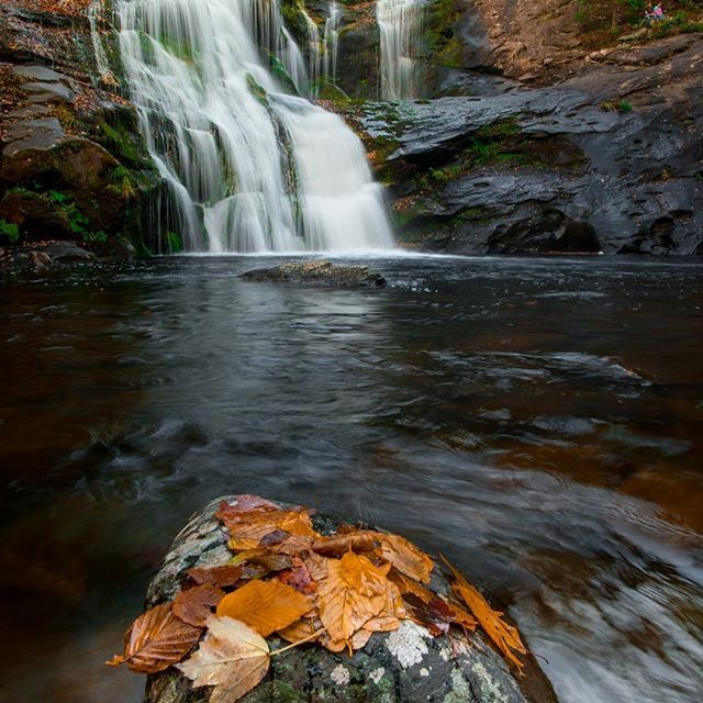 I love nature and waterfalls! #clearwaters #adventureculture #amazingtravelbeauty #keepitwild #waterfallfordays #wanderlust #seekthetrails #waterfalls #waterfall #chasingwaterfalls #bestwaterfalls ift.tt/31CBAAq