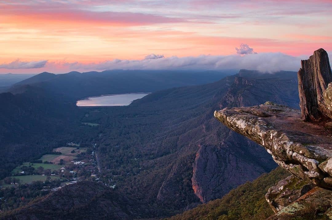 Wildlife_Tours's tweet photo. This view NEVER gets old 😍 Like if you've been there! ✨ 📸 : @henryalekna

Discover more 👉 https://t.co/o5bs0Carjy

#visitvictoria #theGrampians #melbournetours #travelaustralia #greatoceanroadtrip #wildlifetours #wildlifetours @wildlifetours @Wildlife_Tours https://t.co/bs5jXcHFii