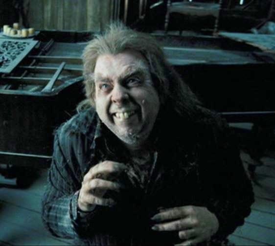 naomiauld_'s tweet photo. Y’all remember what a shit Peter Pettigrew was?  I see no difference https://t.co/wUlaZj79qi