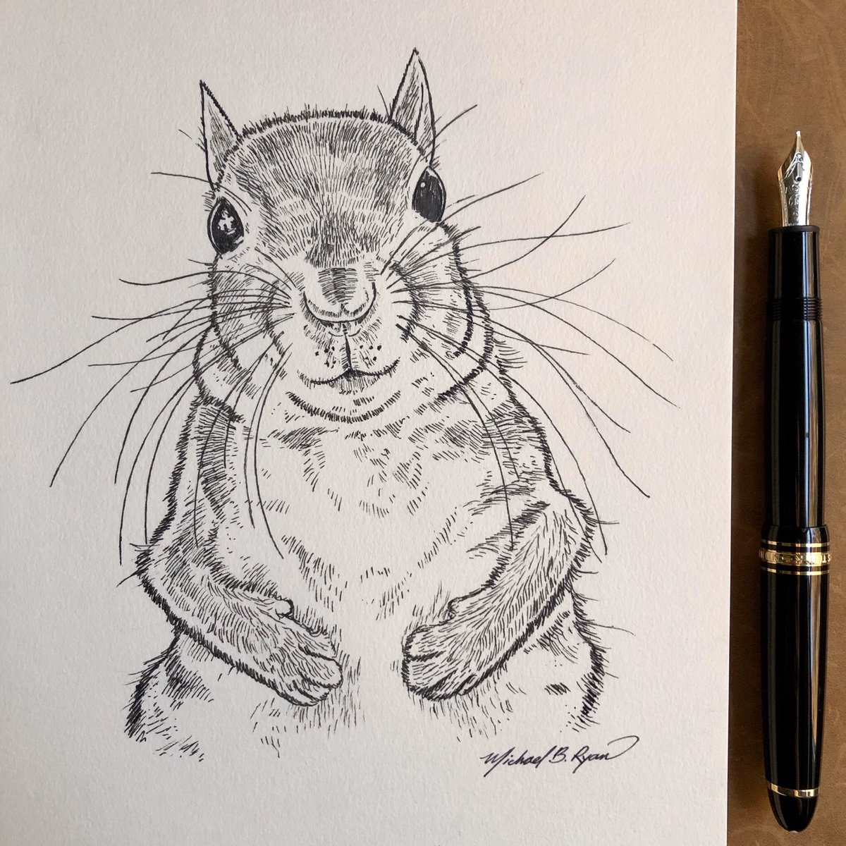 mikeryanart's tweet photo. Inktober Day 21 “Treasure.” The adorable Thumbelina for the 21st Inktober 2019 word prompt. 🐿 🖋@montblanc_world LeGrand fountain pen with Montblanc Mystery Black ink on @StillmanandBirn Gamma series paper. #inktober2019 #inktober #drawing #squirrel #petpo https://t.co/WZ0jOwpAXd