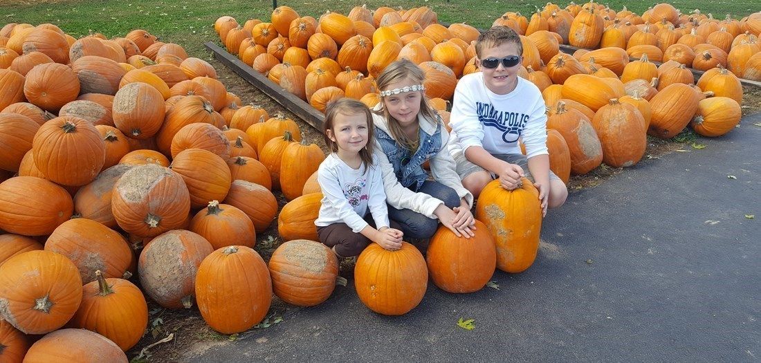 VisitIndiana's tweet photo. Enjoy and Explore all of Fall's Glory!
Festivals, Foliage and Photo Ops Abound on a Fall Excursion in Jackson County!
Read More: https://t.co/5kXKeBINQa
#LovINFall #visitindiana https://t.co/tGcWKZfVeL