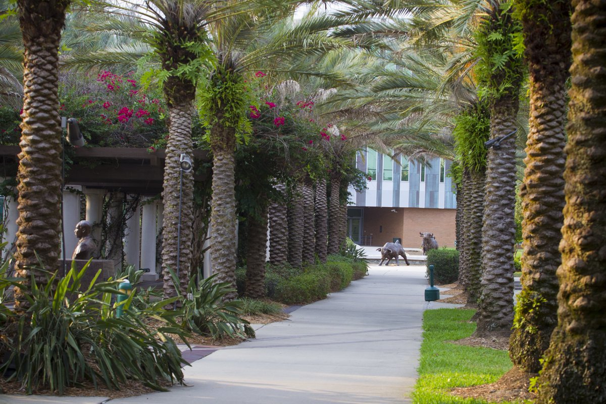 USF Marshall Student Center tweet media