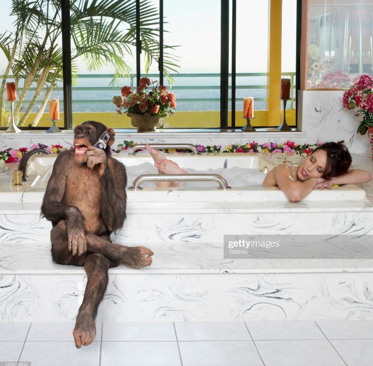 Your afternoon procrastination is sponsored in part by r/wtfstockphotos: reddit.com/r/wtfstockphot…