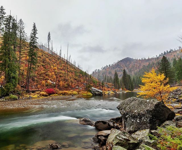 I finally found some of those #fallcolors🍁🍂 I’ve been looking for! While they are still all over the place here in the #pnw , #Leavenworth had an impressive blanket of colors to show off. Thanks to all my Facebook followers who gave their suggestions… bit.ly/2JaVjkq