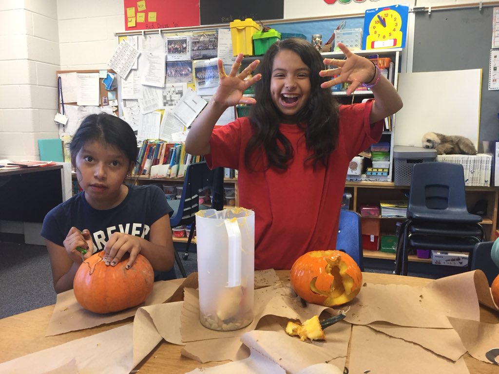 c_laprad's tweet photo. This is how we bring farm to table @MVESEagles #englishismessy #pumpkinseason f https://t.co/EAPGJOsKby