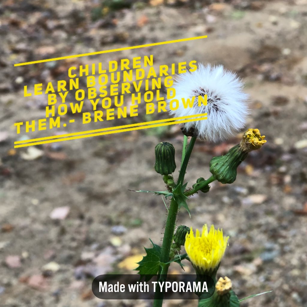 MpDefy's tweet image. 