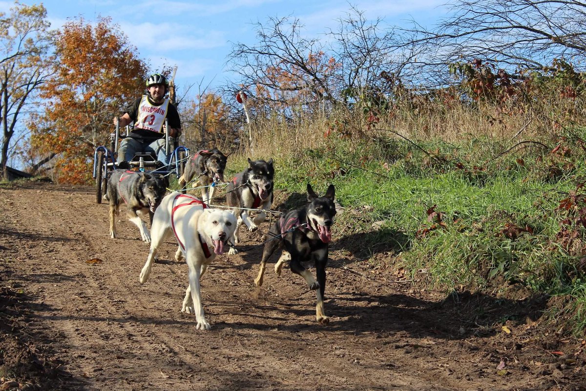 About an hour later, it was time for adult 6 dog rig! Q ran with Pete, Boo, Biggie, Willow, and Tenzing. If you’re wondering where the sixth dog is, it was Weegee, and he got out of his harness on the way up to the chute and Q had to leave without him! Newton also raced six dogs.