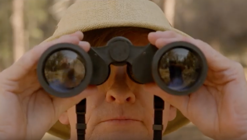 KeepingUpWithNZ's tweet photo. Have a watch of @rhysiedarby on a cryptid quest in the @DesertSparrowx new video to their very catchy tune 'Karma' @GroundSounds https://t.co/a9b3E3zjks https://t.co/Jqaob8gBvy