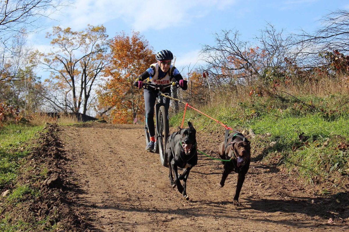 Next up, it was Blair’s turn with 2 dog scooter races! She ran with Jules and Zagat. It was their first time racing! She was also kind enough to wear my GoPro on her helmet...stay tuned for that footage within the next couple days! We’ll get to see the race from her viewpoint.