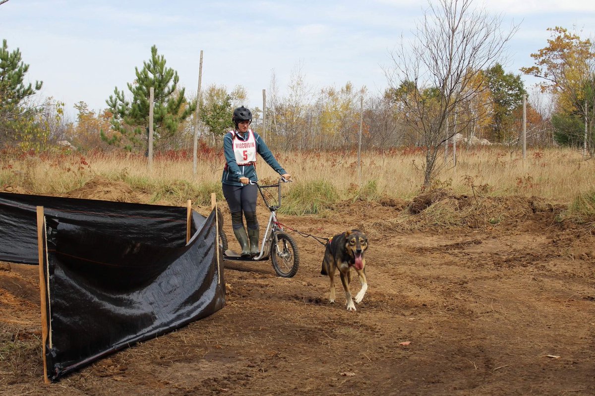 After a quick lunch, it was Blair’s turn again, this time with adult one dog scooter. She raced with Slim. I believe it was also his first time racing and he got a little distracted at times. He even went the wrong way briefly, but he figured it out!