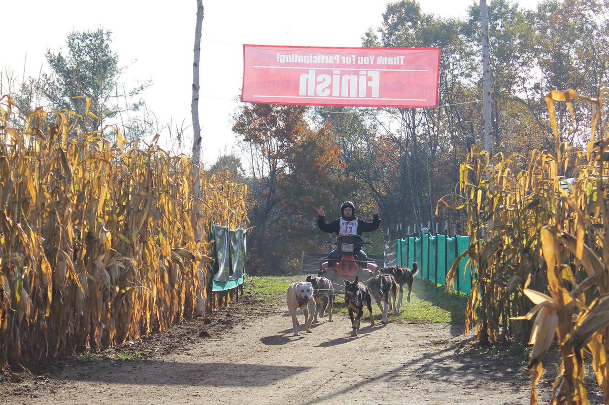 Sunday’s races were a repeat of Saturday’s, with the goal of bettering your time and having the fastest overall times. However, Q’s cart broke the day before so he used an ATV in neutral for the dogs to pull. These pics show several  #uglydogs walking Q and team up to the chute!