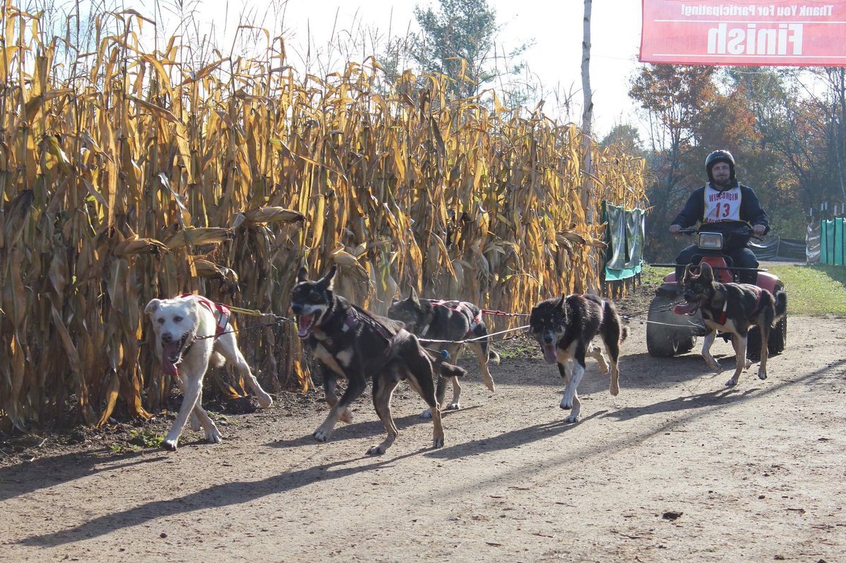 Sunday’s races were a repeat of Saturday’s, with the goal of bettering your time and having the fastest overall times. However, Q’s cart broke the day before so he used an ATV in neutral for the dogs to pull. These pics show several  #uglydogs walking Q and team up to the chute!