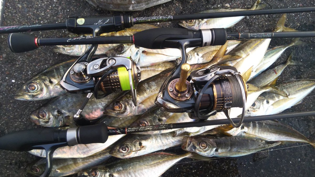 Taihei_fishing's tweet photo. 釣れていたのに朝マの勝負をかけて移動してホゲ
そんな時は撮影をするに限る

#workslimited
#pro4EX https://t.co/NLtHcQLv7H