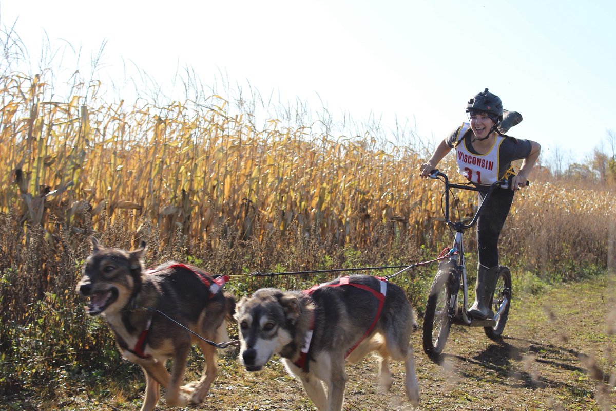 When 2 dog scooter races came around again, Blair tried ballet-scooter-joring with Zagat and Jules. 12/10 for style points! Check out these other floofs too.