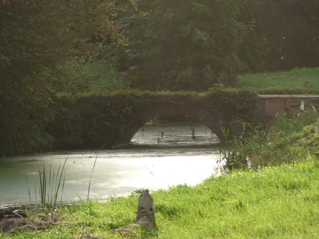Maison Dieu BB Dover (@maisdieudoverbb) on Twitter photo Scenes from the #riverbank <a href="/VisitSandwich/">Visit Sandwich</a> #riverstour <a href="/destdover/">Destination Dover</a> <a href="/VisitDover/">White Cliffs Country</a> <a href="/KentScenes/">Scenes from Kent</a> <a href="/ExploreKent/">Explore Kent</a> <a href="/uktraveltourism/">UK Travel & Tourism</a> @TourismTweetsGB @WalksAndWalking <a href="/DoverWaW/">DoverWelcomesWalkers</a> <a href="/englandplus/">John & Tanya Firth</a> <a href="/gardenerscottag/">Gardeners Cottage</a> <a href="/judithsoprano/">Judith Smith</a> <a href="/simps555/">Sarah Simpson</a> <a href="/WalksBritain/">Walks Around Britain</a> <a href="/WalkersrWelcome/">Walkers are Welcome</a> <a href="/DoverCR/">DCR 104.9FM</a> <a href="/RamblersGB/">RamblersGB</a> #Kent Scenes from the #riverbank <a href="/VisitSandwich/">Visit Sandwich</a> #riverstour <a href="/destdover/">Destination Dover</a> <a href="/VisitDover/">White Cliffs Country</a> <a href="/KentScenes/">Scenes from Kent</a> <a href="/ExploreKent/">Explore Kent</a> <a href="/uktraveltourism/">UK Travel & Tourism</a> @TourismTweetsGB @WalksAndWalking <a href="/DoverWaW/">DoverWelcomesWalkers</a> <a href="/englandplus/">John & Tanya Firth</a> <a href="/gardenerscottag/">Gardeners Cottage</a> <a href="/judithsoprano/">Judith Smith</a> <a href="/simps555/">Sarah Simpson</a> <a href="/WalksBritain/">Walks Around Britain</a> <a href="/WalkersrWelcome/">Walkers are Welcome</a> <a href="/DoverCR/">DCR 104.9FM</a> <a href="/RamblersGB/">RamblersGB</a> #Kent