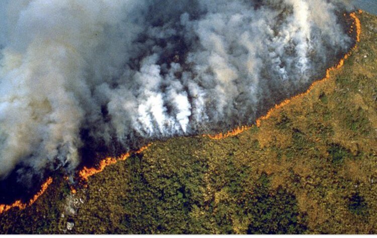 AnnaKernahan's tweet image. Just because the media have stopped covering it doesn’t mean the Amazon is not #stillburning Share the hashtag to keep it mainstream! #ClimateChange #ClimateEmergency #ClimateActionNow #ClimateCrisis @JeromeFosterII @Jamie_Margolin @AnnaUKSCN @Luisamneubauer @AnunaDe @isabelle_ax