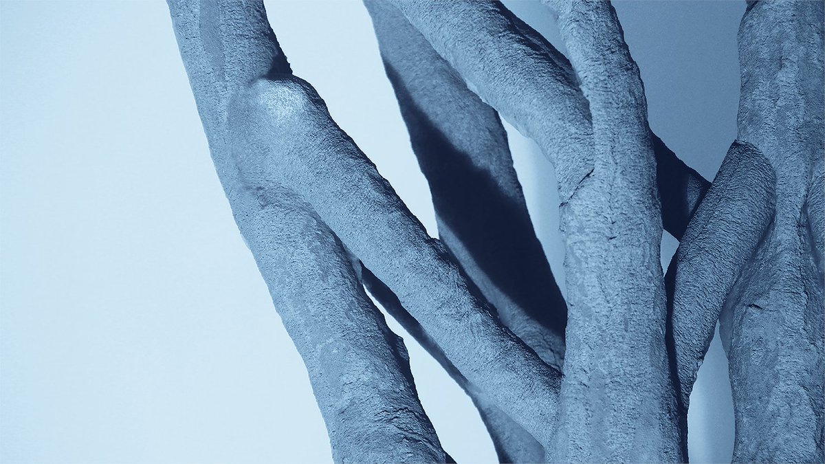 Soliquid tweet media