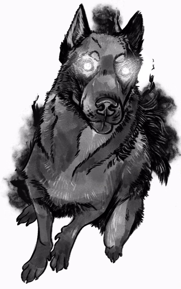 artL1nk's tweet photo. #Inktober 17/31
#Ranger: Purchases #NightHowler, names Alakva, opens cage to let out. 
Alakva: 20lbs, 70% shadow floof. Baby wigglebutt. Squirmy. Pulls lead. Nips butt. Bork bork super scary pupper. Licks whole party. 10/10 guard dog.
#inktoberday17 #dungeonsanddragons #dnd https://t.co/vmuETmQ6Rn