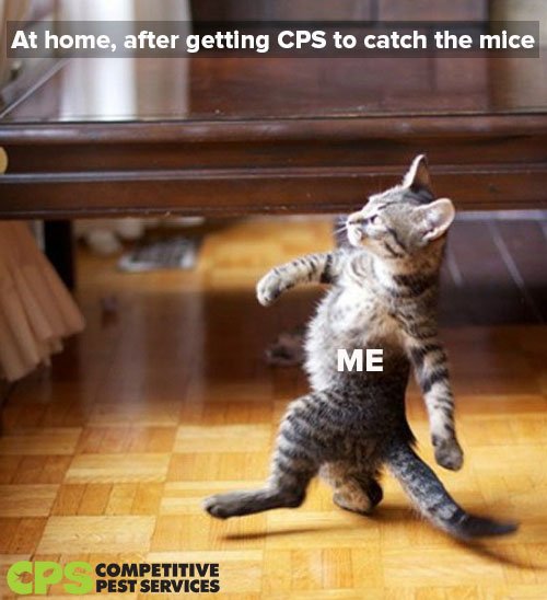 CompPestService's tweet photo. It’s all about CPS.
#residentialpestcontrol #CompetitivePestServices #CPSMyanmar #CPSAustralia #pestcontrol #CPS #CPSTEAM #PestControlTrends #pestcontrolservices #pestcontrollife #pestcontrolsupplies #pestcontrolsydney #pestcontrolaustralia #pestcontrolcompany #instamood https://t.co/GpfSSZ7wPG