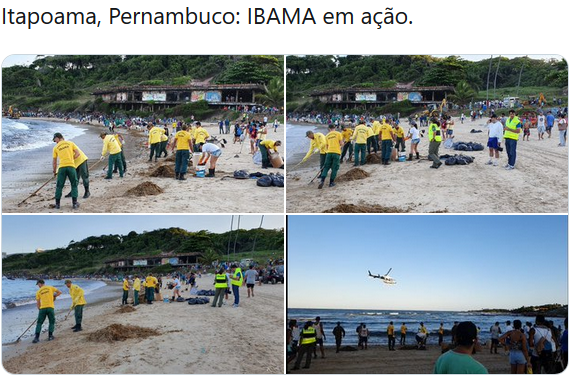 mbc_pe's tweet photo. Na sua reportagem de hoje, a jornalista da #Globo, #BiancaCarvalho, no jornal #Netv2, informa que não encontrou nas praias equipes do Governo Federal atuando na retirada do petróleo.

Mas nós aqui, através do #Twitter, encontramos as equipes!🇧🇷

#Recife #Pernambuco @globonordeste https://t.co/S4ePjmuBy0