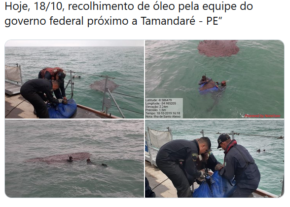 mbc_pe's tweet photo. Na sua reportagem de hoje, a jornalista da #Globo, #BiancaCarvalho, no jornal #Netv2, informa que não encontrou nas praias equipes do Governo Federal atuando na retirada do petróleo.

Mas nós aqui, através do #Twitter, encontramos as equipes!🇧🇷

#Recife #Pernambuco @globonordeste https://t.co/S4ePjmuBy0